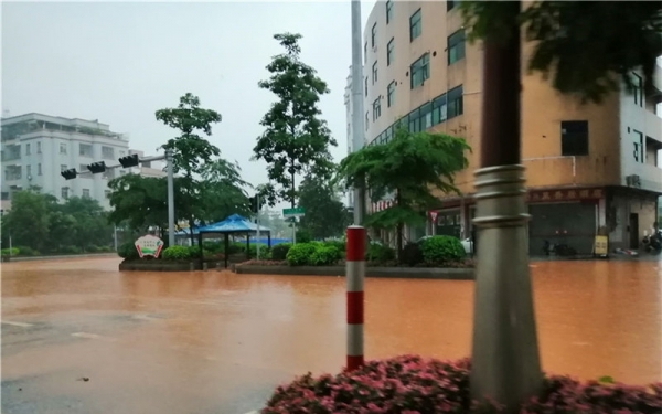 广东新兴短时猛烈降雨 县城汪洋一片学生淌水返校-图5