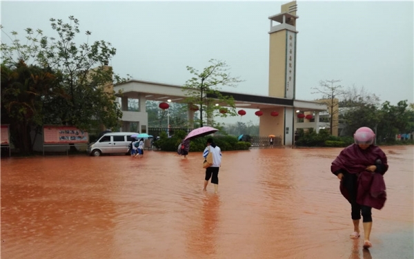 广东新兴短时猛烈降雨 县城汪洋一片学生淌水返校-图3