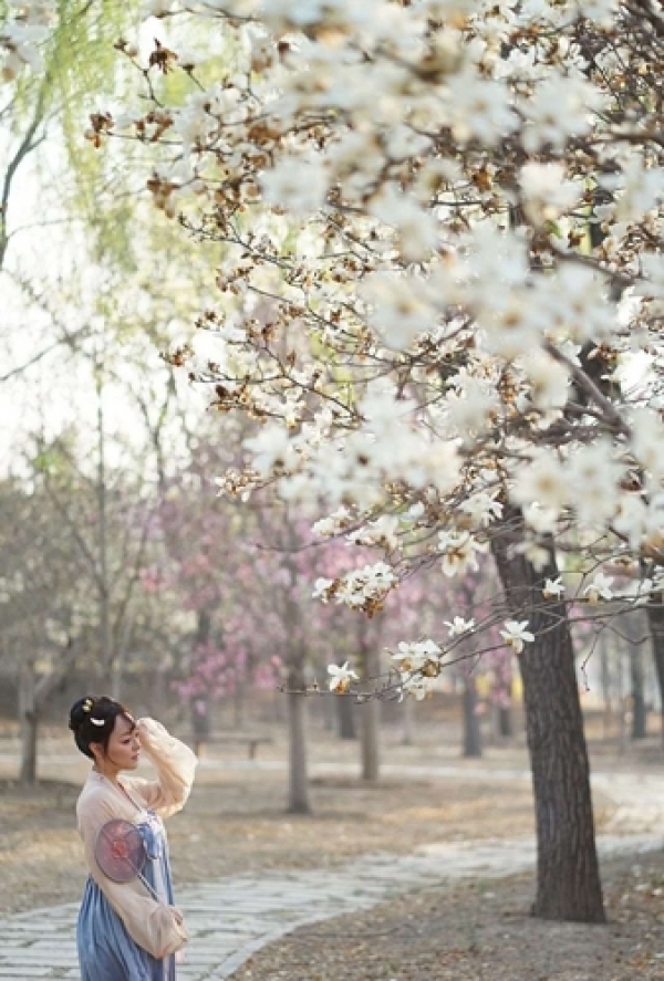 美人如玉裳如画 春花古装两相宜-图6