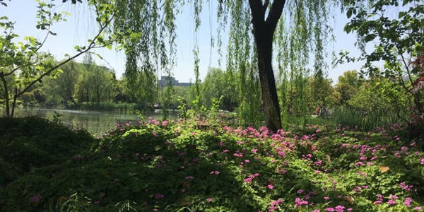 浙江“假夏天”登场，局地最高气温30℃