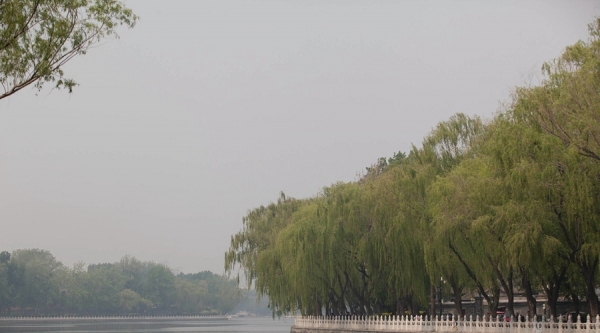 北京空气质量不佳 市民出行口罩遮面-图5