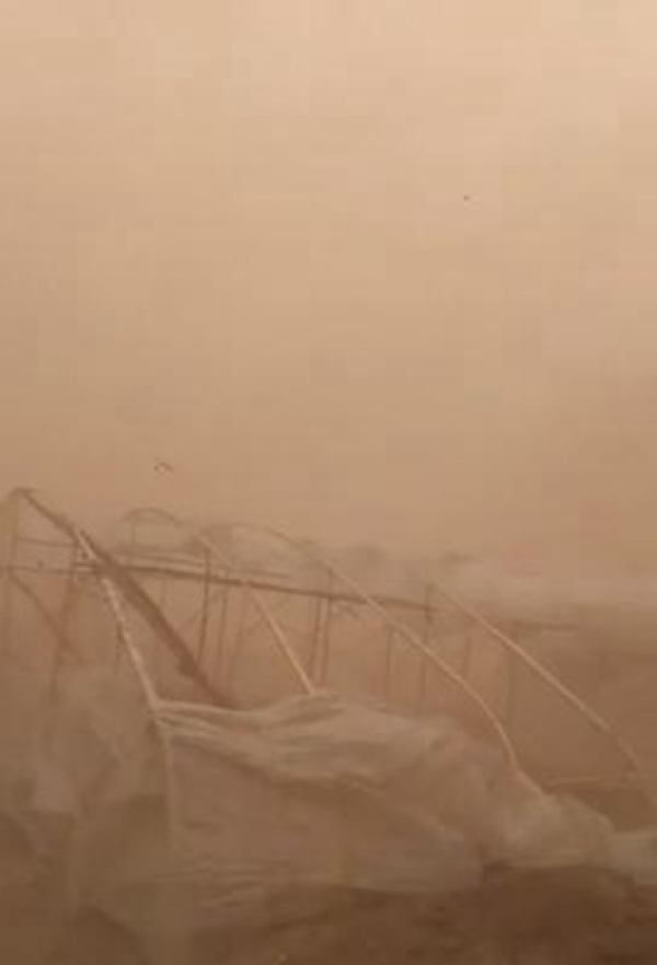沙尘暴突袭辽宁锦州黑山县 黄土遮天狂风撕碎大棚膜-图6