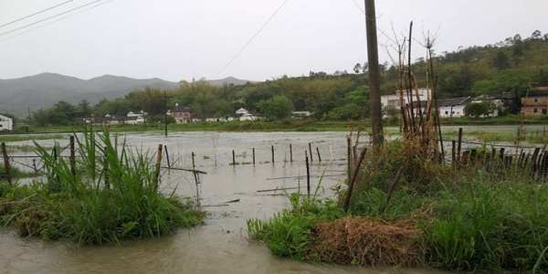 雷暴强对流突袭广东龙川 山体滑坡农田积水严重-图5