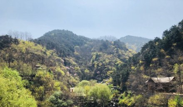 山东东南部有中雨“侵扰”出行注意交通安全