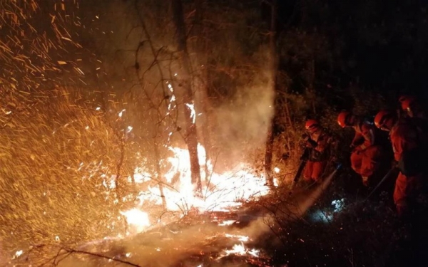云南昆明龙池山发生山火 森林消防150人紧急扑救-图1
