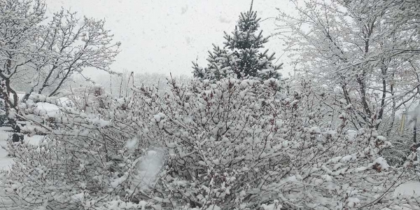 河北承德围场四月飞雪 交通出行受阻-图8