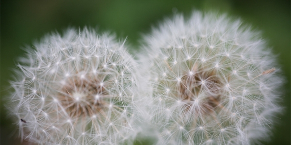 谁说春天只能赏花？这些风景比花还美！-图6