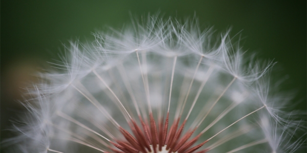 谁说春天只能赏花？这些风景比花还美！-图7