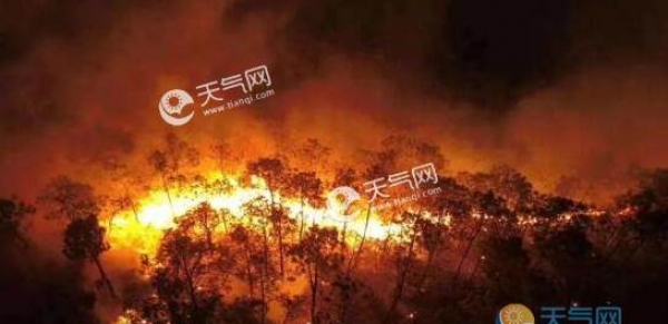 受干旱天气影响 德国多地发生森林火灾