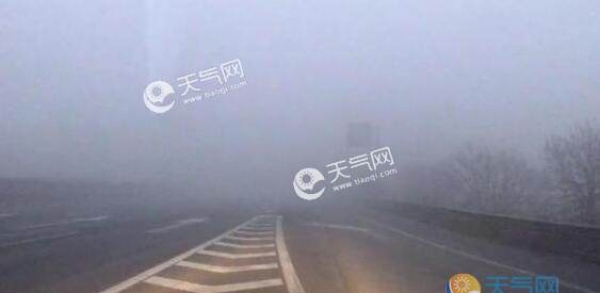 今早河南多出现大雾天气 省内多条高速交通管制