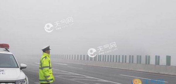 今早河南多出现大雾天气 省内多条高速交通管制