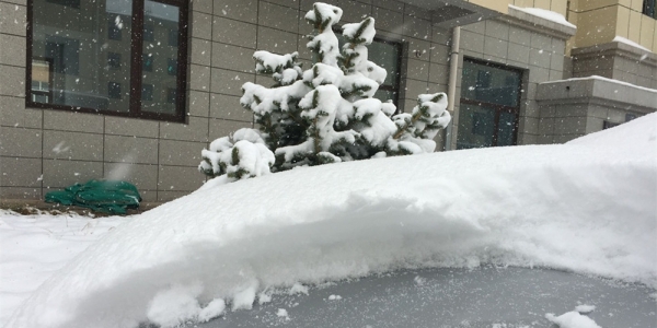 内蒙古锡林郭勒盟四月暴雪袭城 路面积雪结冰出行难-图2