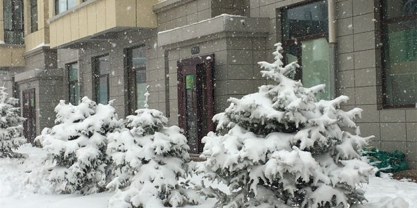 内蒙古锡林郭勒盟四月暴雪袭城 路面积雪结冰出行难-图1