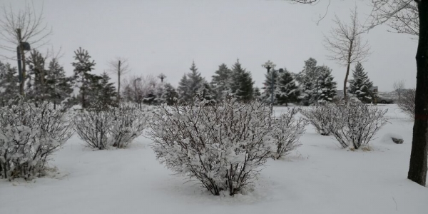 内蒙古锡林郭勒盟四月暴雪袭城 路面积雪结冰出行难-图5