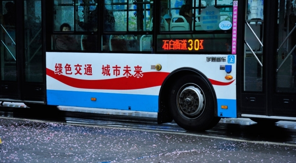 山东日照喜迎春雨 花雨交织一路风景-图4