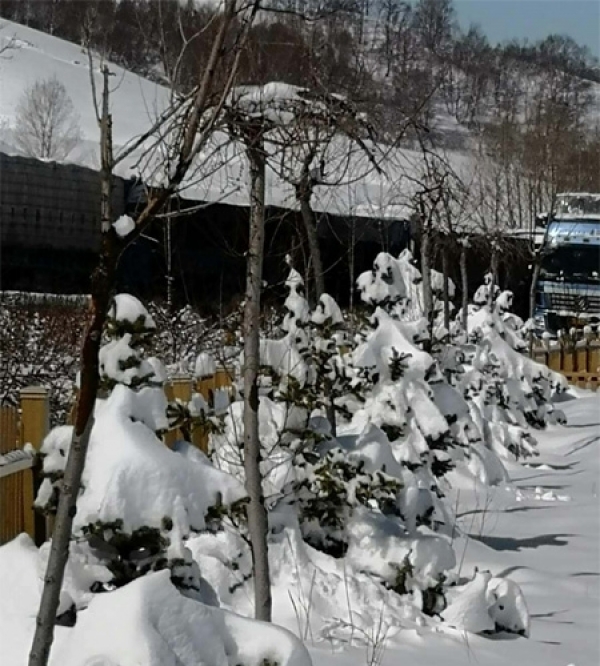 河北丰宁积雪路滑 道路通行受阻-图8