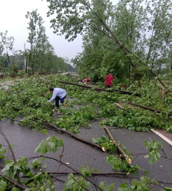 江西连遭强对流袭扰 各地灾情频现-图2