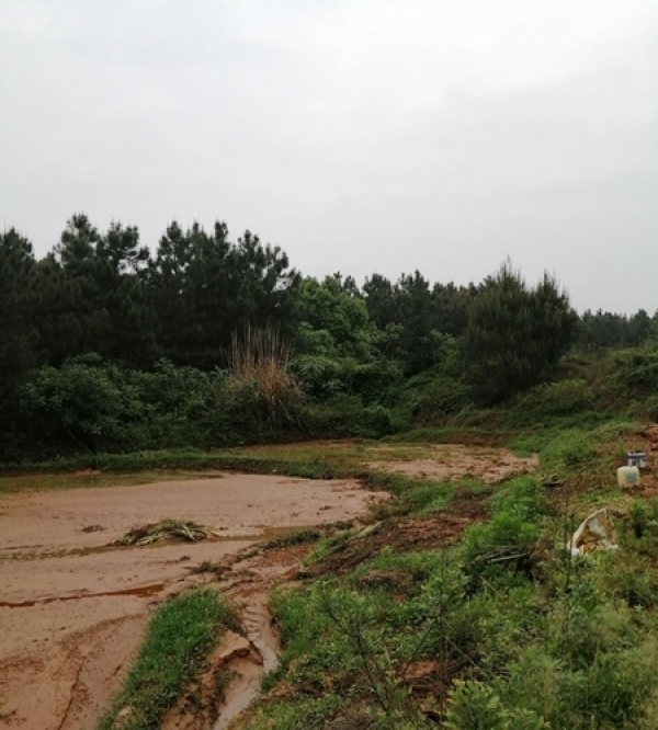 江西连遭强对流袭扰 各地灾情频现-图9