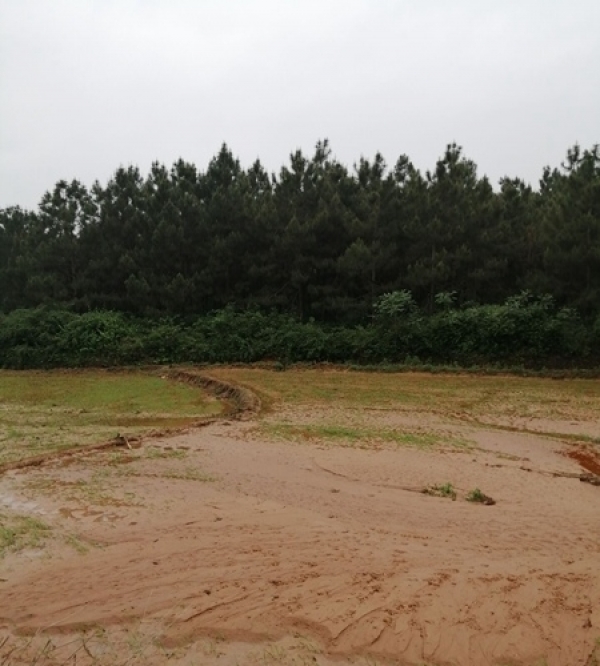 江西连遭强对流袭扰 各地灾情频现-图10