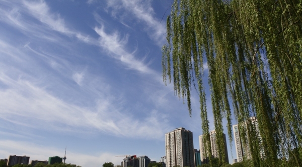 北京雨后碧空如洗 蓝天白云颜值爆表！-图5