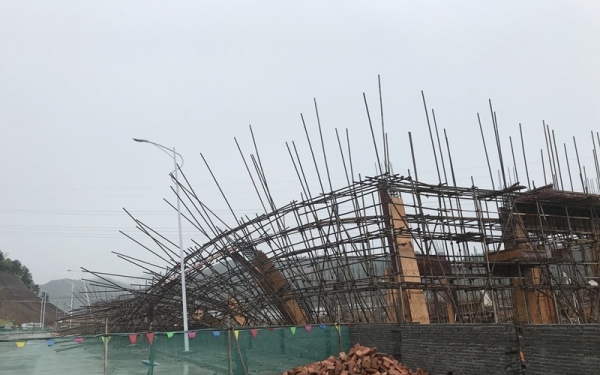 12级雷雨大风袭击浙江青田 大树被连根拔起-图1