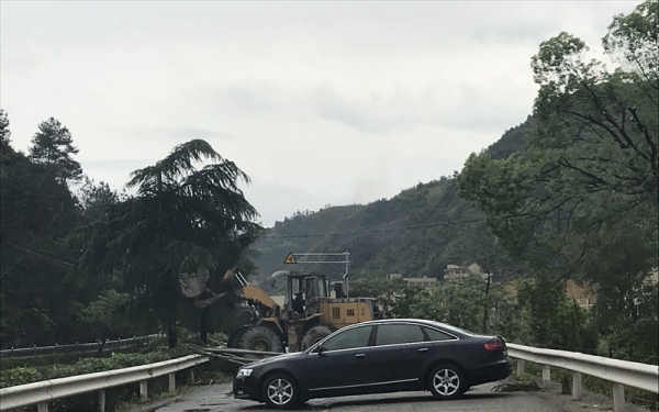 12级雷雨大风袭击浙江青田 大树被连根拔起-图7