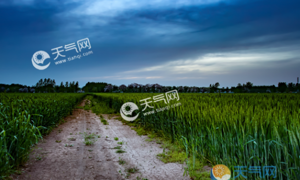 梅雨季节不见雨水是怎么回事 梅雨季节不下雨是什么情况