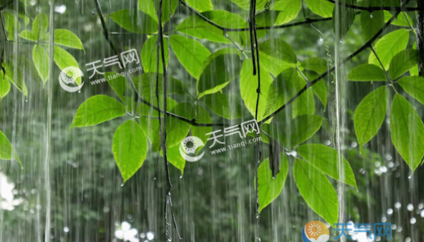 梅雨季节注意什么 2019梅雨时节衣食住行须知常识