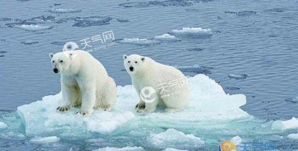 科学家：气候变暖导致永久冻土解冻加速