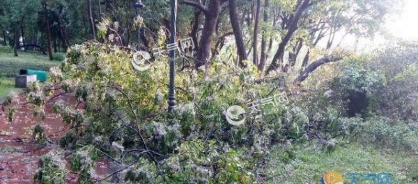 江西多地遭强对流天气袭击 酿成内涝滑坡等惨剧