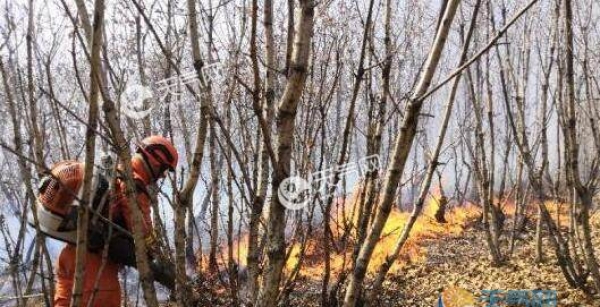 四川一男子焚烧野草引发山火 未造成人员伤亡