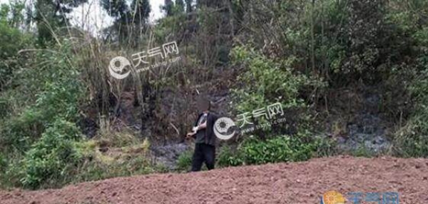 四川一男子焚烧野草引发山火 未造成人员伤亡