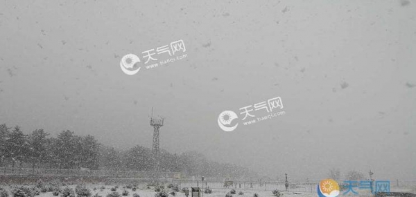 河北承德4月飘雪 围场县城降雪明显气温跌至0℃