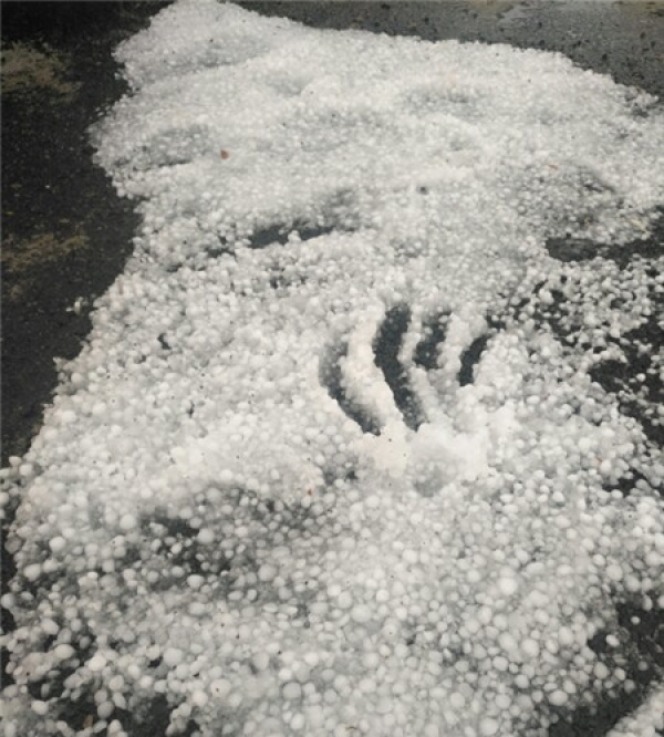 云南永丰镇遭遇冰雹袭击 覆盖地面一片雪白-图6