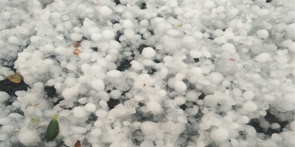 云南永丰镇遭遇冰雹袭击 覆盖地面一片雪白-图5
