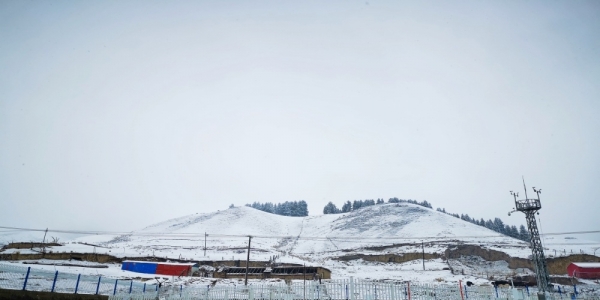 乌鲁木齐南山大雪纷飞 返青牧草被积雪覆盖-图3