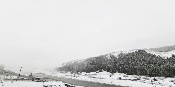 乌鲁木齐南山大雪纷飞 返青牧草被积雪覆盖-图4