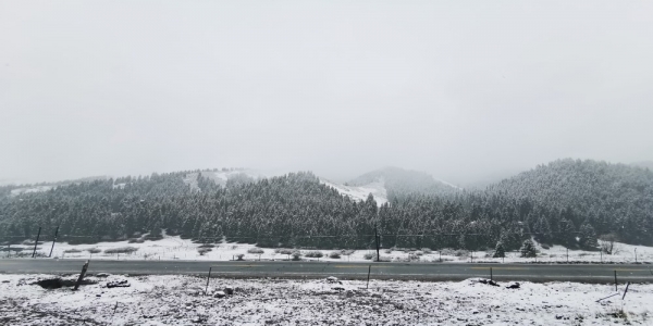 乌鲁木齐南山大雪纷飞 返青牧草被积雪覆盖-图5