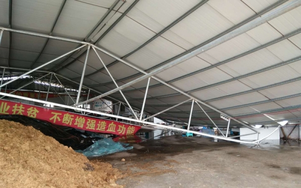 强雷雨突袭广东清远 房屋受损树木被折断-图4