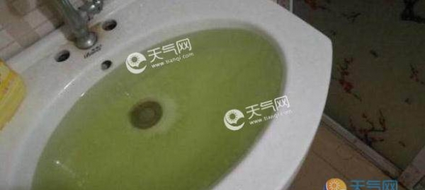 湖北安陆自来水变绿汤 系水库遭水华侵蚀