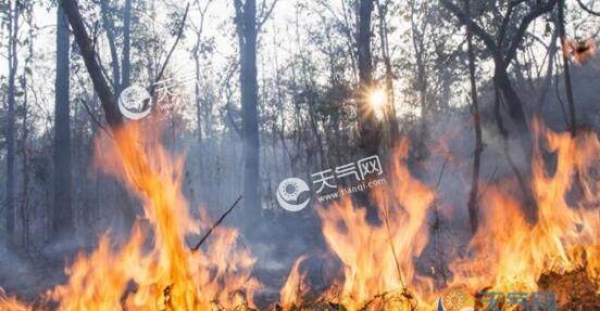 受厄尔尼诺事件影响 陕西夏秋季干旱严重