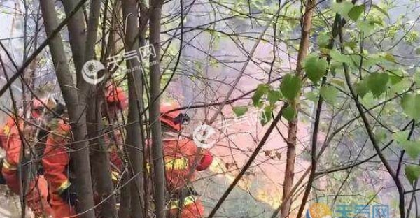 昨日甘肃省一林场发生火灾 烟火冲天过火面积达18亩
