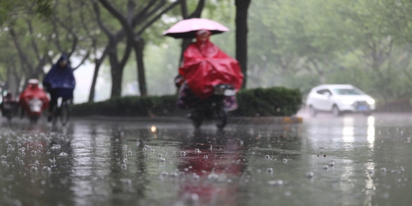 河北石家庄再迎降雨 市民周末出行受阻-图1