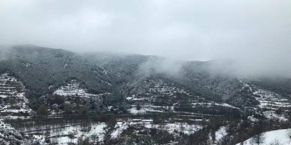 山西部分地区迎来四月雪-图1