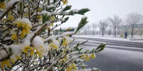 山西部分地区迎来四月雪-图5
