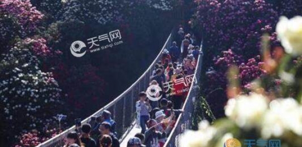 长春交警发布五一出行提示 这些地方易发生交通拥堵