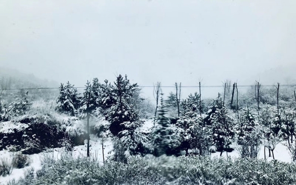 河北邢台西部山区罕见四月飞雪 大地银装素裹-图2