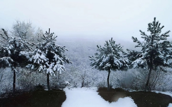 河北邢台西部山区罕见四月飞雪 大地银装素裹-图1