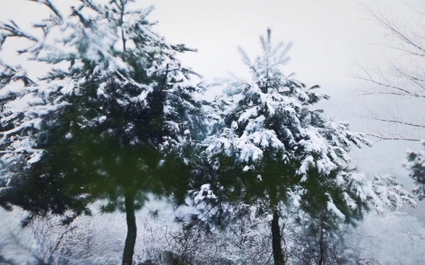 河北邢台西部山区罕见四月飞雪 大地银装素裹-图4