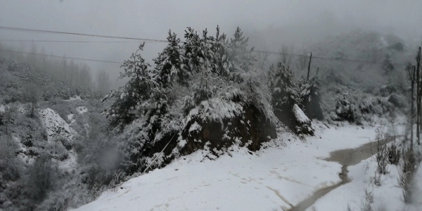河北邢台西部山区罕见四月飞雪 大地银装素裹-图6